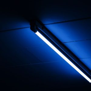 LEDlights